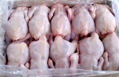 В мясе птицы российских производителей найдена сальмонелла
