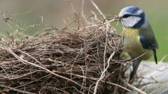 Прогноз погоды на 4 апреля: осадки сохранятся на большей части страны
