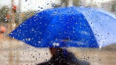 Дожди и грозы пройдут на большей территории Казахстана 18 июня