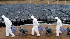 Самолёт перенёс из Караганды в Лион 70 тонн ПХД. Это опасное ядовитое вещество