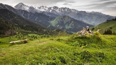 На Кок-Жайляу можно построить экокурорт за миллион долларов. Что там будет?