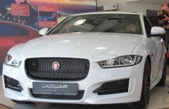 Jaguar показывает зубы