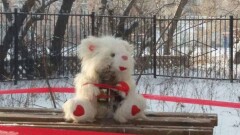 Спасатели Усть-Каменогорска взорвали плюшевого мишку, чтобы показать опасность петард