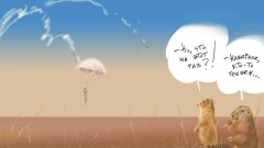 Звёзды подождут