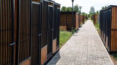 В Нур-Султане построили первый питомник для бродячих животных, но уже два месяца он пустует