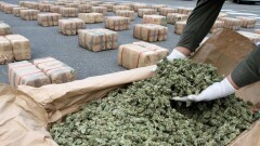 В день инаугурации Трампа в Вашингтоне будут раздавать сигареты с марихуаной