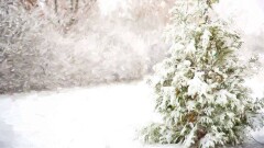 Прогноз погоды на 3 января: в большинстве областей ожидаются осадки и усиление ветра
