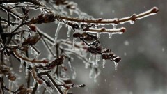 Прогноз погоды на 25 февраля: осадки ожидаются на большей части территории Казахстана