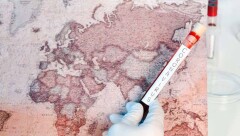 Covid-19 в мире: Число выздоровевших в Италии побило суточный рекорд, Южная Корея заморозила базовую ставку 0,75%