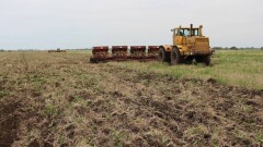 В Минсельхозе рассказали, как казахстанцы будут получать земли сельхозназначения