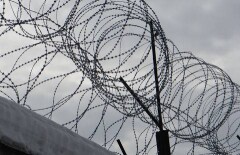 В Алматинской области начальник колонии осуждён за "крышевание" бизнесмена