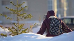 В Астане отменили занятия для учащихся начальных классов второй смены