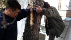 В Петропавловске спасатели эвакуировали пенсионера с крыши затопленной дачи