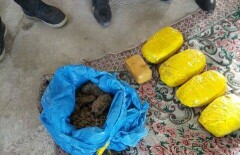 28 килограммов наркотиков в топливном баке вёз гражданин Кыргызстана в Казахстан