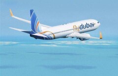 Пилоты разбившегося Boeing FlyDubai поругались за секунды до крушения