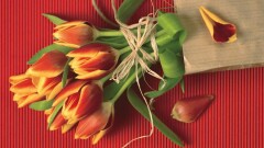 Дарить учителям цветы на 8 Марта официально не запрещали – МОН 