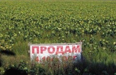 Земли сельскохозяйственного назначения иностранцам не продадут