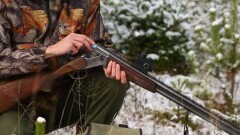 Лесника задержали за незаконную охоту на кабанов в Жамбылской области