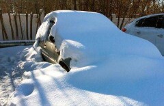 Хозяев брошенных машин-подснежников ищет полиция Астаны 