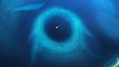Пластиковый пакет и фантики обнаружили на дне Марианской впадины