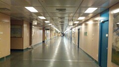Комиссия ищет виновных в побеге пациента из Центра психического здоровья в Алматы