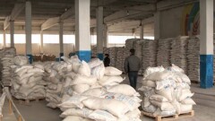 Стратегический запас продуктов на более чем 160 млн тенге разворовали в ЮКО