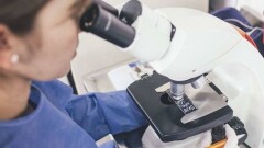 ВОЗ: Человечеству срочно нужны новые антибиотики 