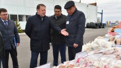 Несколько простаивающих предприятий запустят в СКО