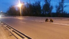 В Костанае в ожидании высоких гостей руками моют дорожную разметку