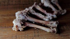 "Вместо мяса – кости самого низкого качества". Аружан Саин показала фото продуктов из детских домов