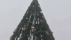 "Выглядит скверно". В акимате Семея не приняли работу подрядчика, установившего ёлки на площадях