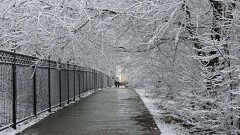 С 11 января на севере и востоке Казахстана ждут до 37 градусов мороза