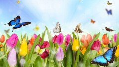 В марте казахстанцы отдохнут 13 дней. Календарь выходных