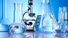 Вклад иностранцев в финансирование науки в Казахстане вырос на 11%