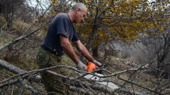 Яблоневые сады Бутаковки – две стороны одной правды