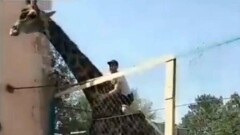 Руководство зоопарка Шымкента обратилось в полицию из-за катавшегося на жирафе посетителя