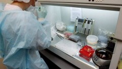 Минсельхоз КНР откроет ветлабораторию в Астане 