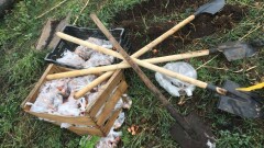 Көктөбе бөктеріне алма ағашының көшеттерін егуге жауапты шенеуніктер жазаланды