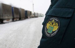 Россия ввела новые ограничения для пропуска груза в ЕАЭС