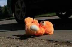 В Акмолинской области мальчик погиб под колёсами авто своего отца