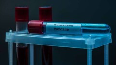 ВОЗ приветствует приостановку испытаний британской вакцины. У добровольца возникло воспаление спинного мозга
