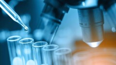 Распределять научные гранты в Казахстане будут открытым голосованием