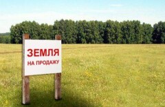 Против распродажи земель сельхозназначения выступил один депутат Мажилиса