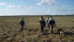Без вести пропавшего пенсионера нашли на пятые сутки заблудившимся в поле