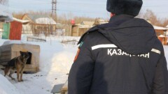 В Усть-Каменогорске на пожарных бросаются с палками и грозят спустить собак