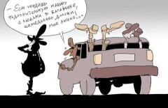 Человек в багажнике