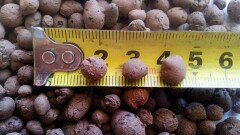 Завод по выпуску керамзита открывается в Актау