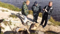 Десятерых браконьеров разыскивают полицейские Павлодарской области