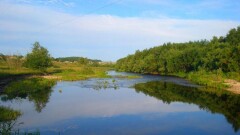 На 880 млрд тенге сокращены расходы программы управления водными ресурсами
