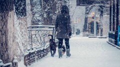 Informburo.kz объявляет новогодний фотоконкурс
